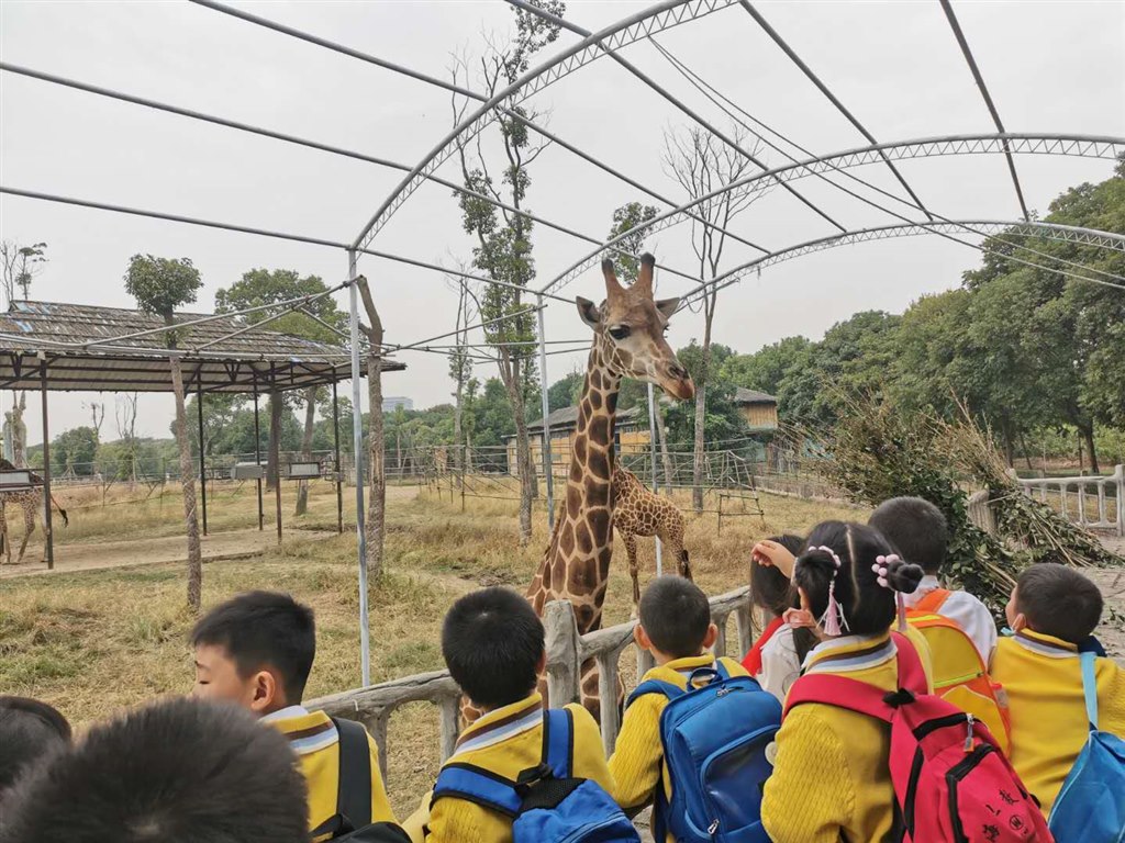 微信图片_20201027155549.jpg