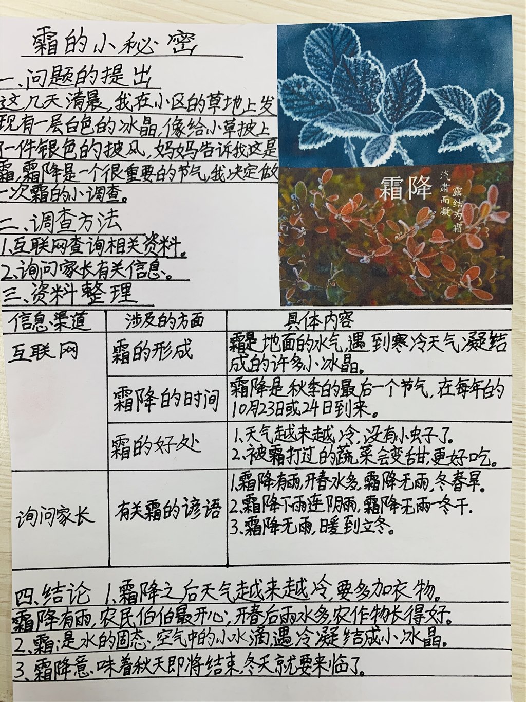 霜的秘密 (2).JPG