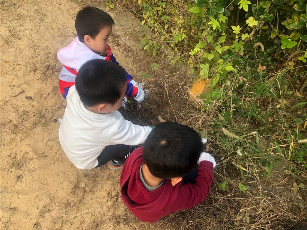 微信图片_202011032048581.jpg