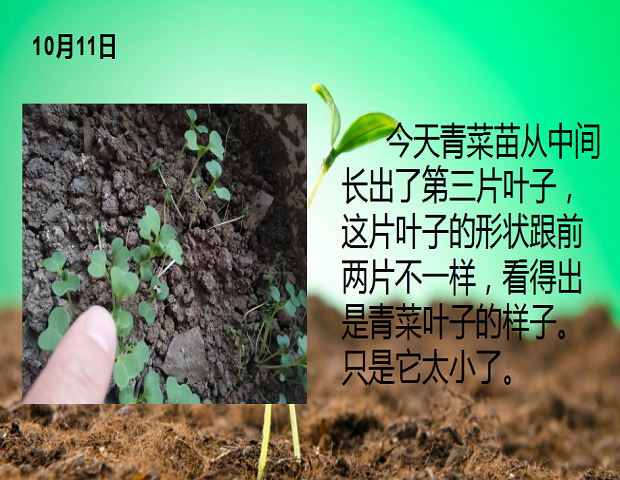 图片6.png