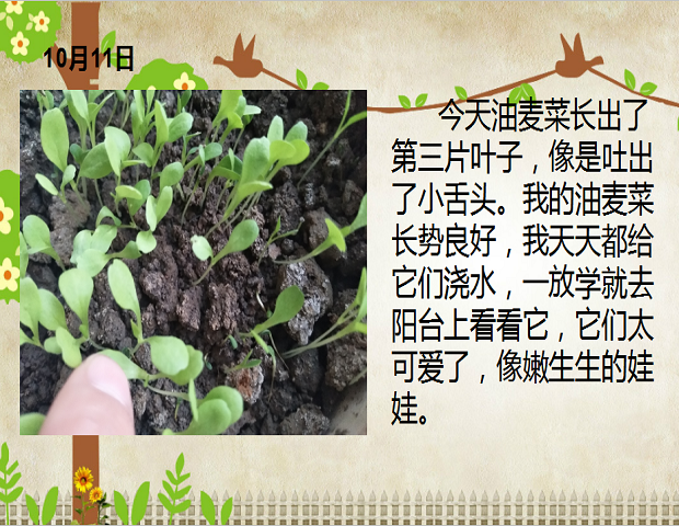 图片10.png
