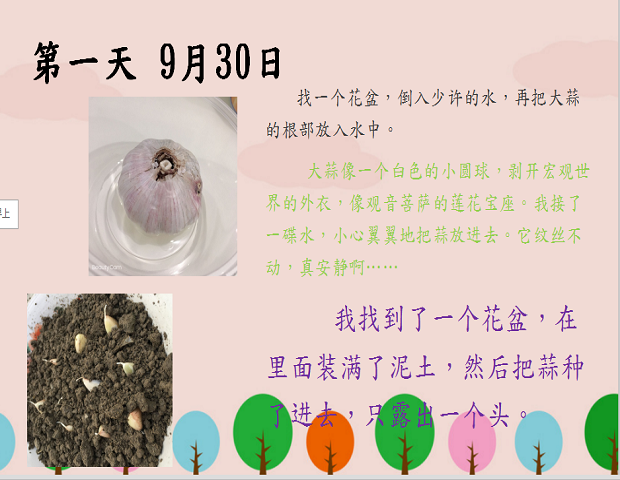 图片11.png
