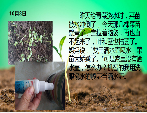 图片5.png