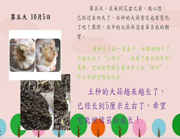 图片13.png