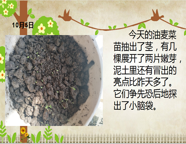 图片9.png