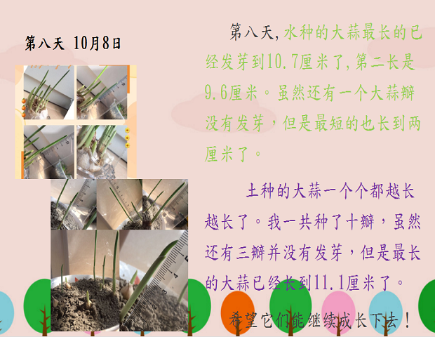 图片15.png