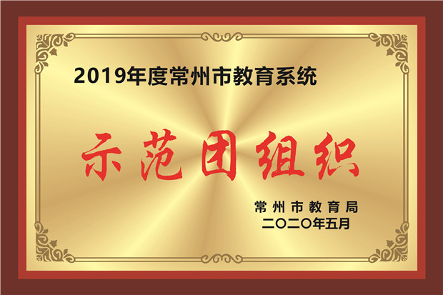 示范团组织.jpg