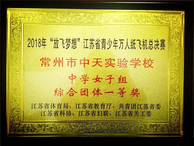 2018.19江苏省万人纸飞机综合团体一等奖.jpg