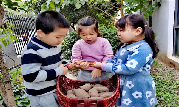 QQ图片20201112132800.jpg