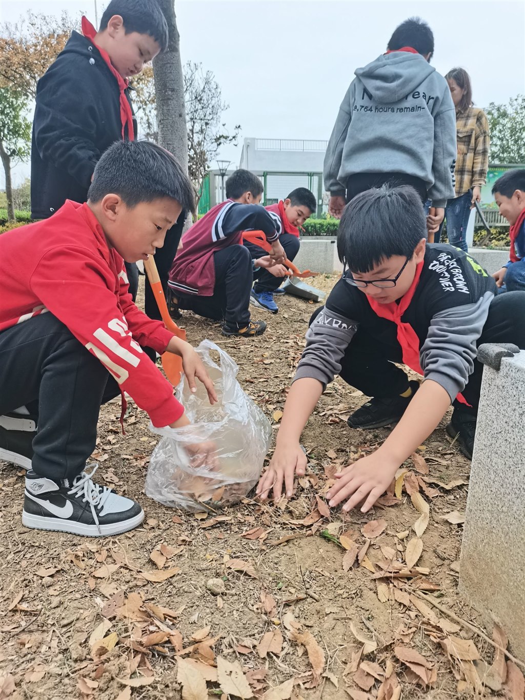QQ图片20201118163610.jpg