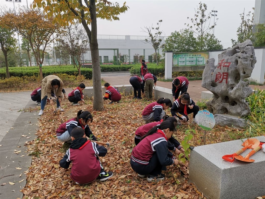 QQ图片20201118163209.jpg