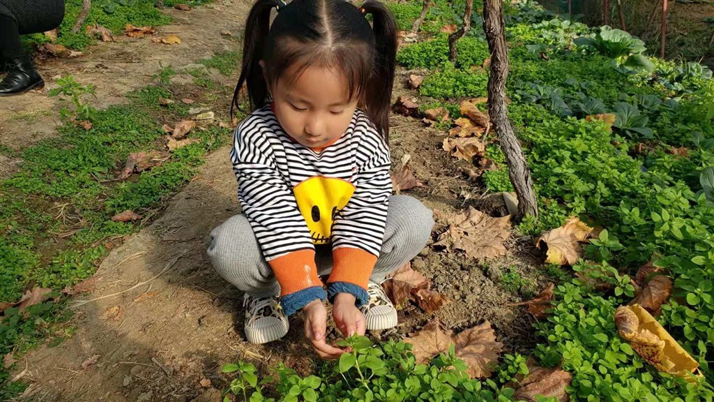 QQ图片20201124172620.jpg