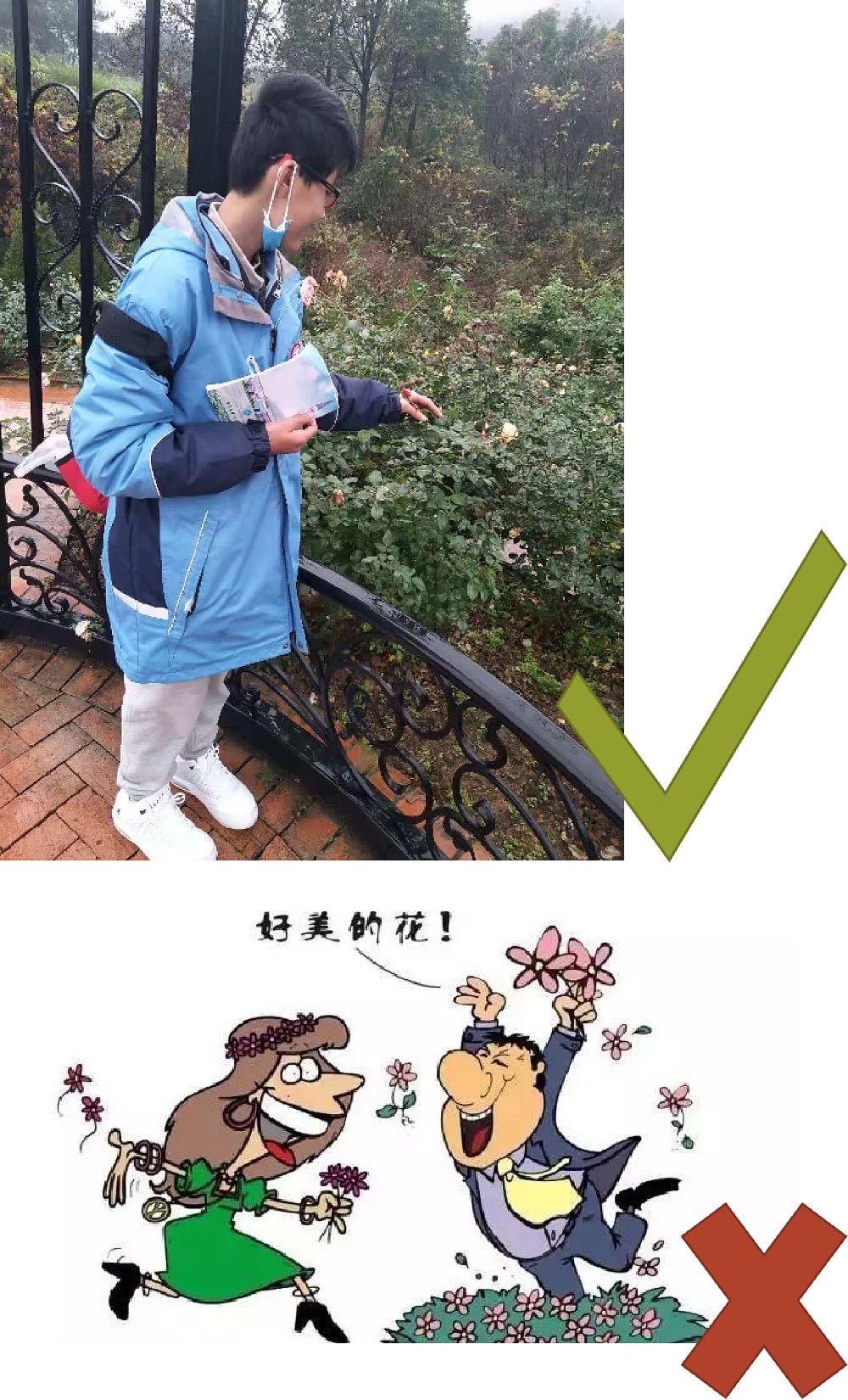 2.JPG