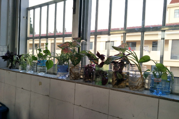 QQtupian20201203153039.jpg