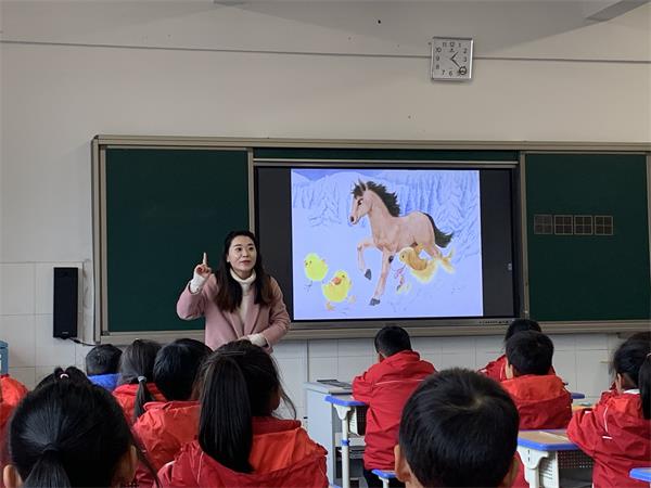 沈菲.jpg