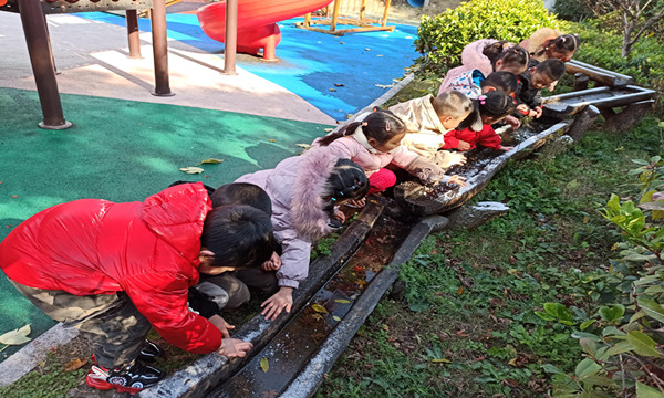 IMG_20201214_103157.jpg