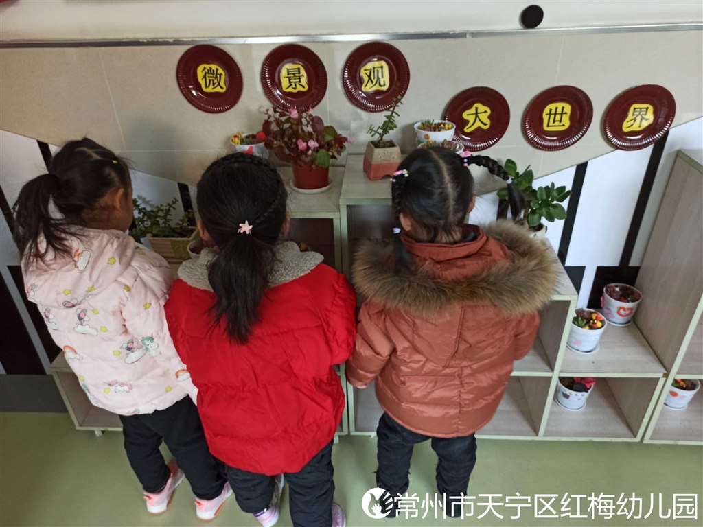 IMG_0910(20201218-122921).JPG