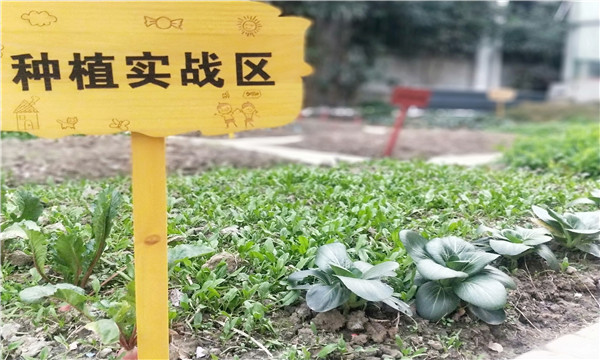 IMG20201221165816.jpg IMG20201221165816.jpg