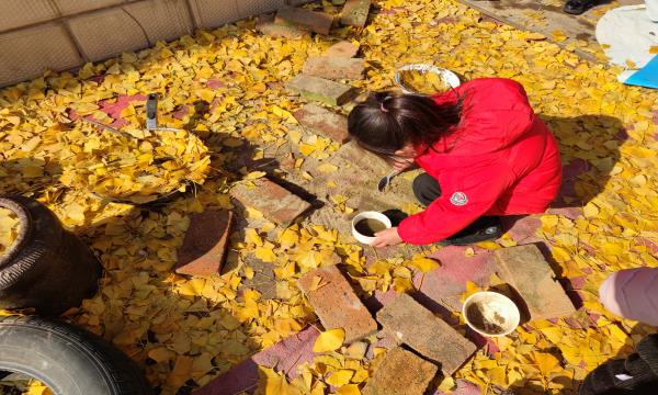 QQ图片20201223080703.jpg