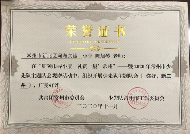 陈旭琴：常州市少先队观摩展示.jpg