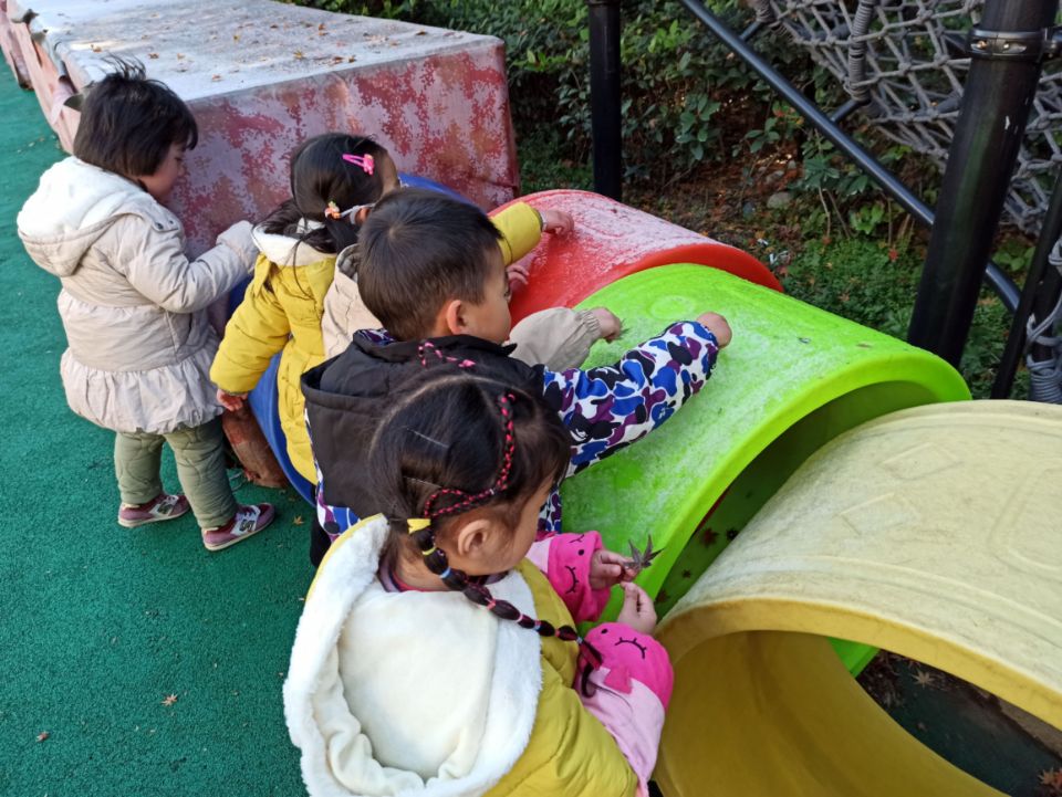 QQ图片20210110193247.jpg