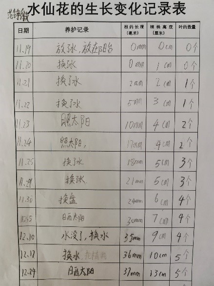 梦幻花园博爱种植社团