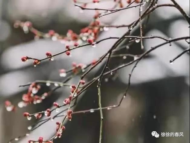 微信图片_20210130201037.jpg
