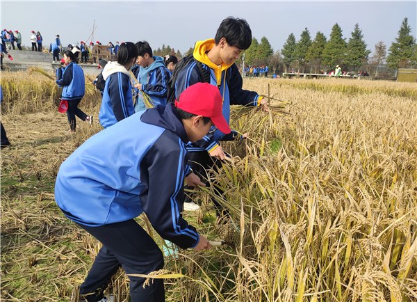 28477d22ded345899506da14495147ca.jpg 28477d22ded345899506da14495147ca.jpg