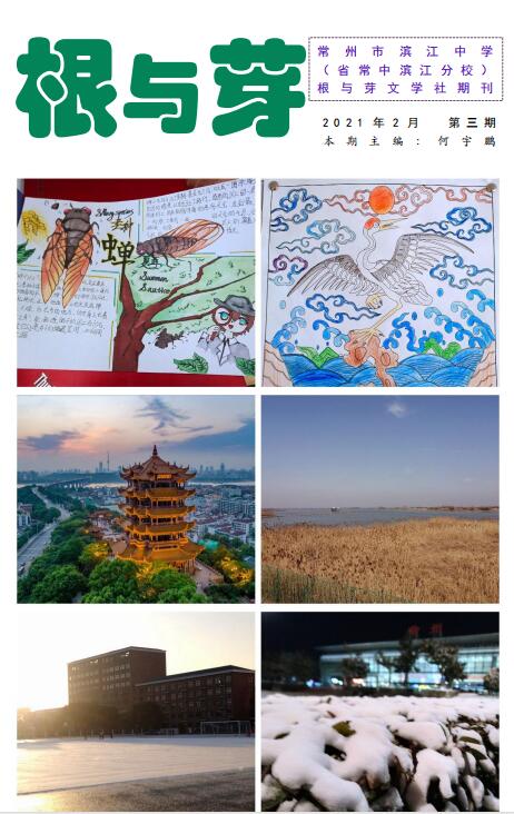根与芽第三期初稿.jpg