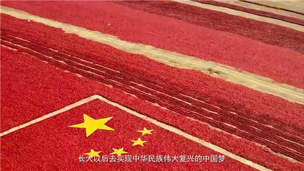 微信图片_20210220090820.png