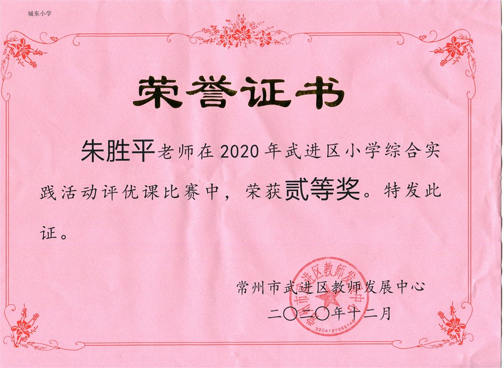 朱胜平区实践活动评优课二等奖.jpg