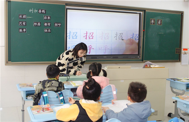 杨澜5.jpg