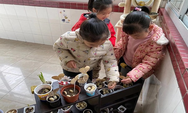 QQ图片20210318132157.jpg
