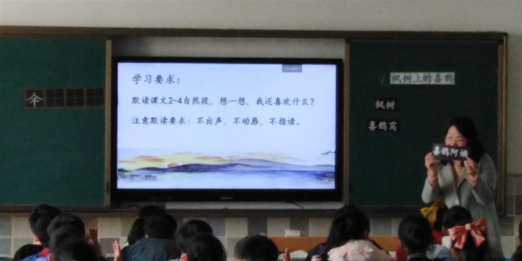 王老师.jpg