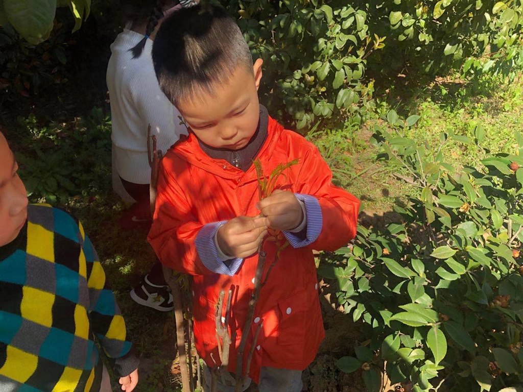 微信图片_202103261531064.jpg