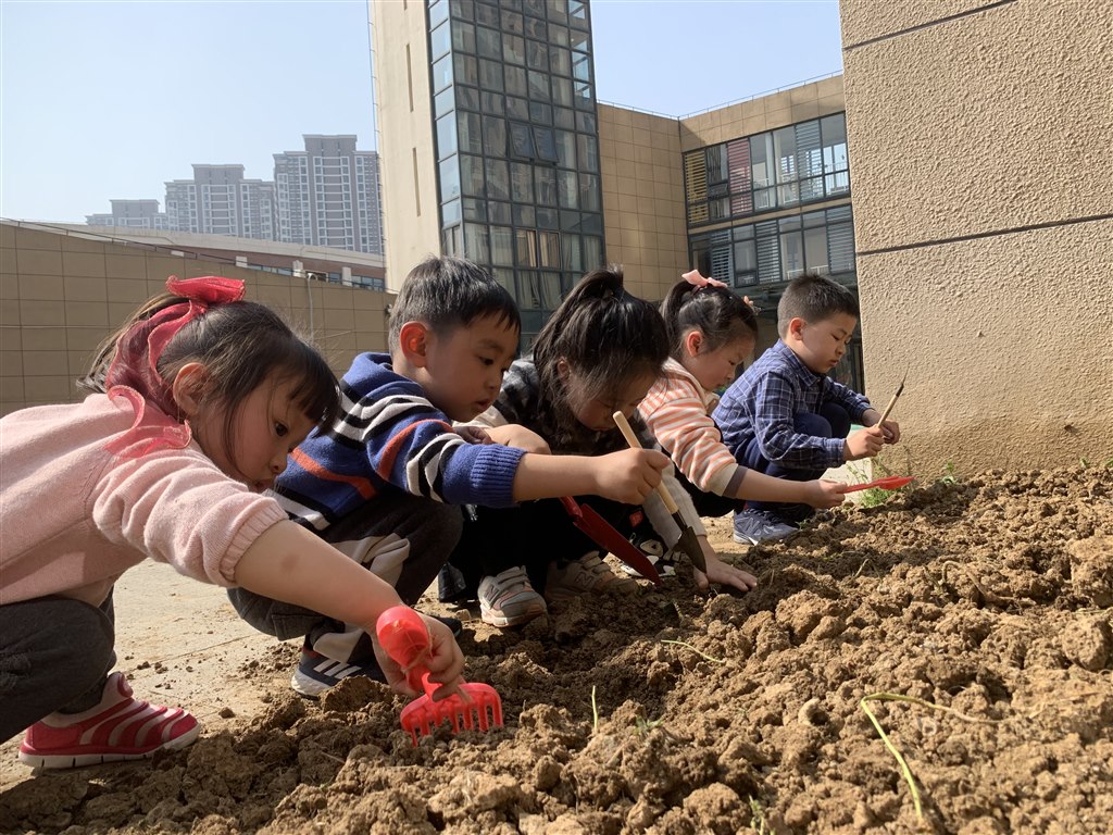 中四班新闻IMG_5710.JPG