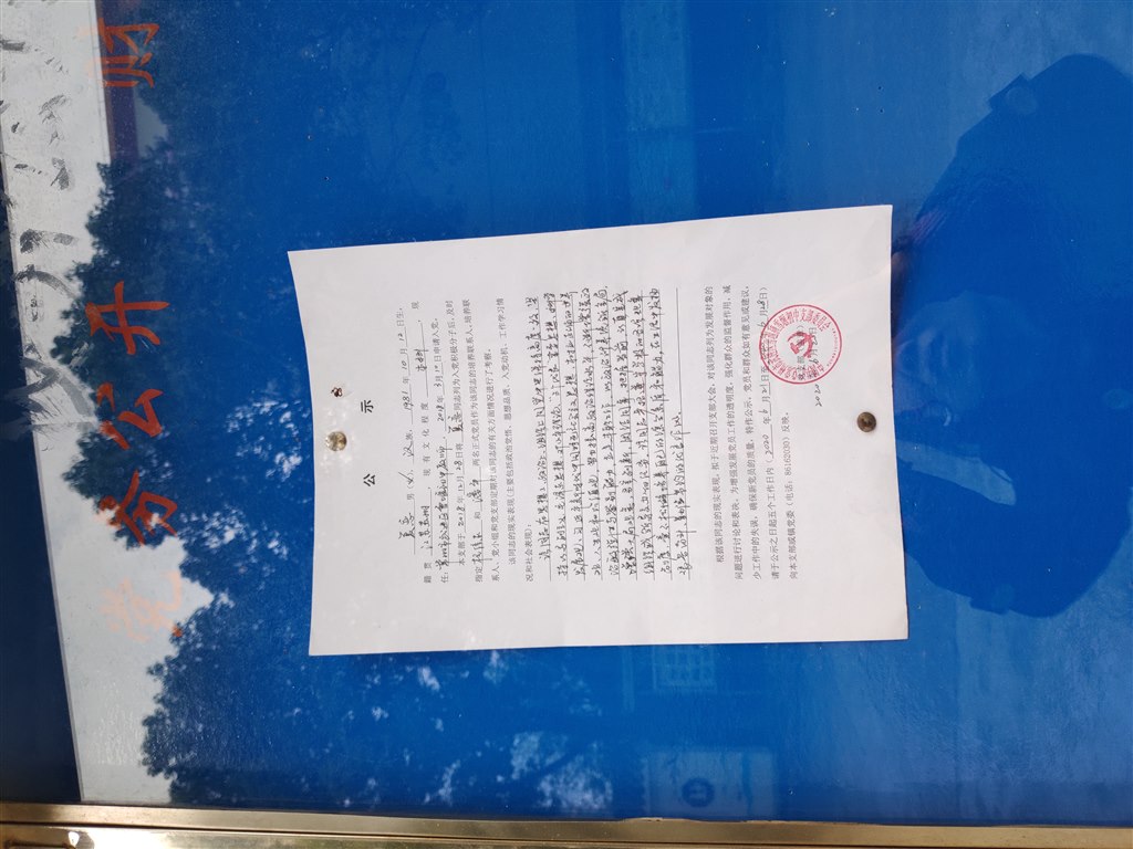 夏恋公示1.jpg