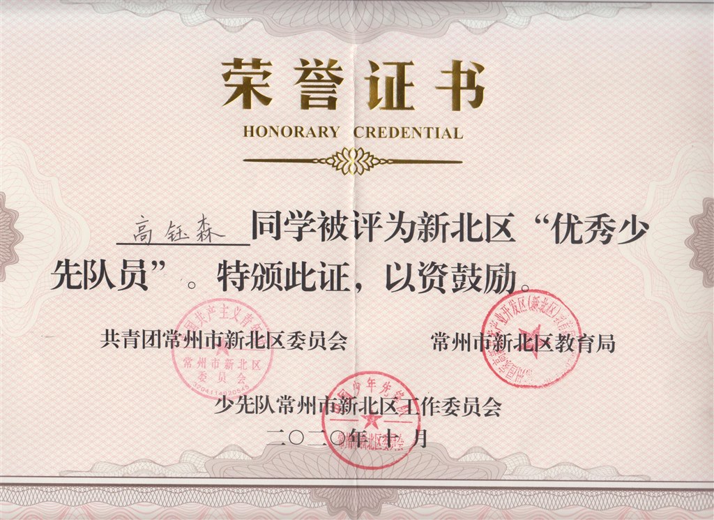 新北区“优秀少先队员”（高钰森）.jpg