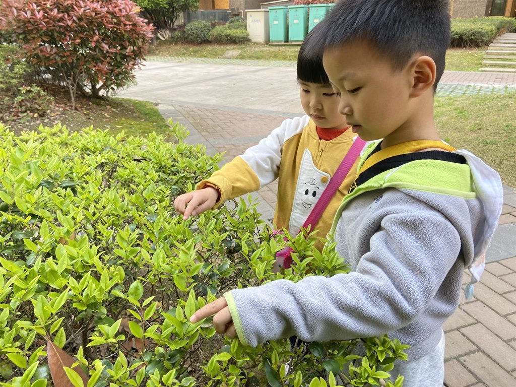 微信图片_202104091418372.jpg