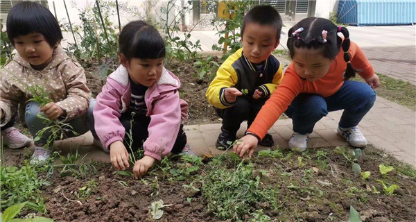 QQ图片20210419104543.jpg