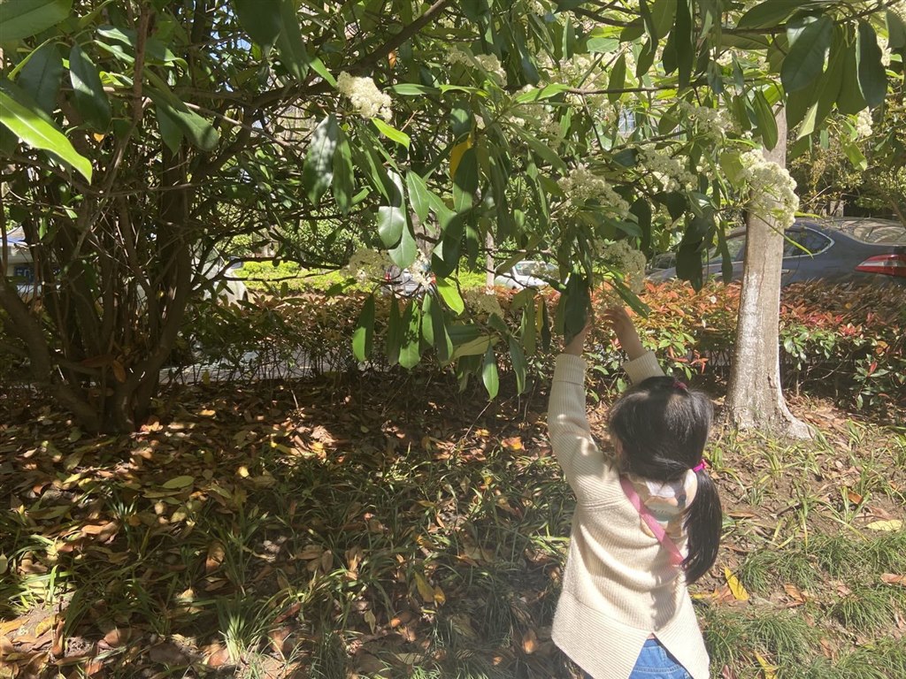 微信图片_202104091418375.jpg