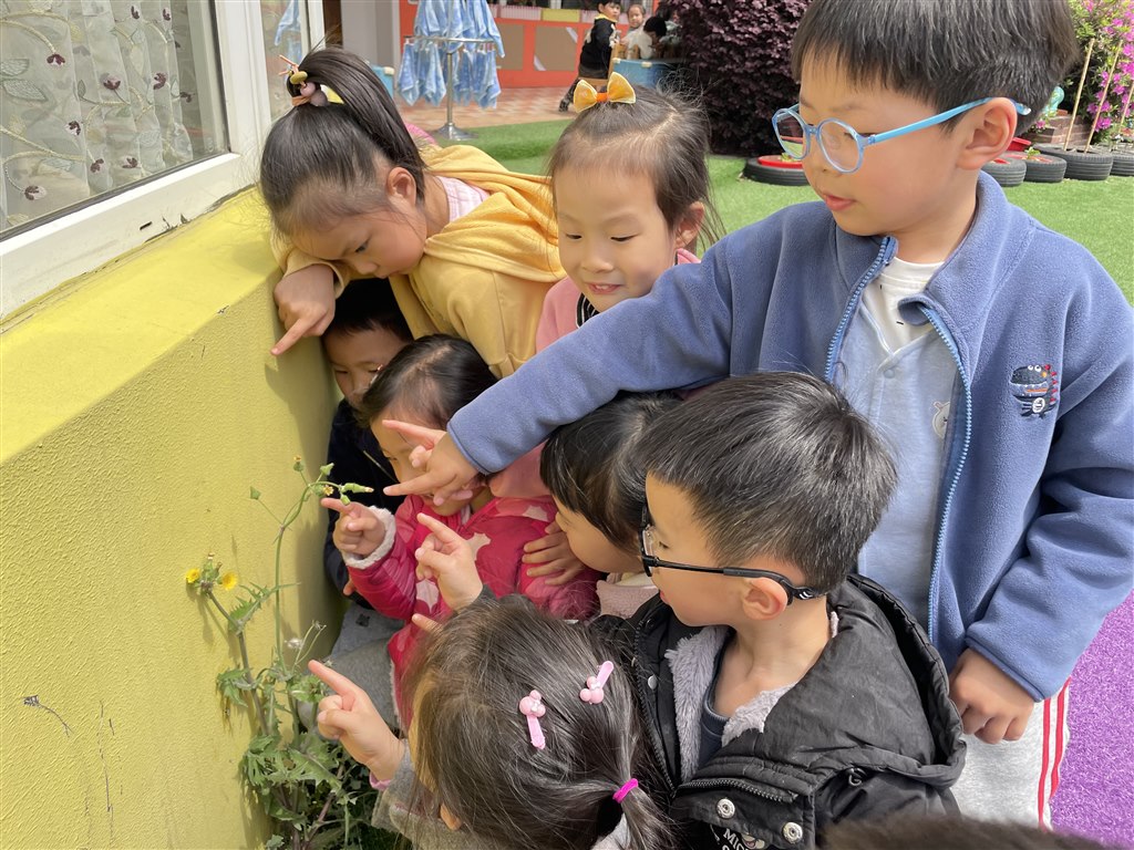 微信图片_20210406114901.jpg