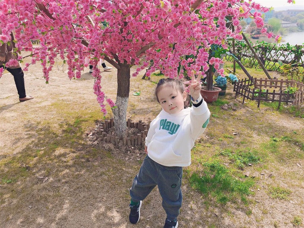 春天4.jpg