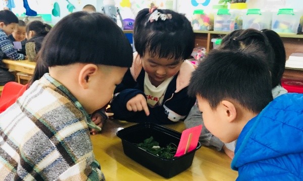 蚕改后 1.jpg
