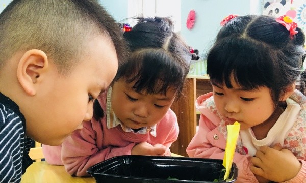 蚕改后 4.jpg
