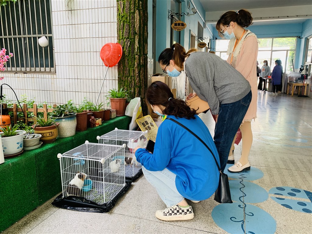 看环境2.JPG