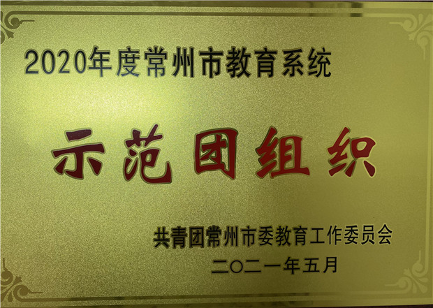2020年度示范团组织.JPG