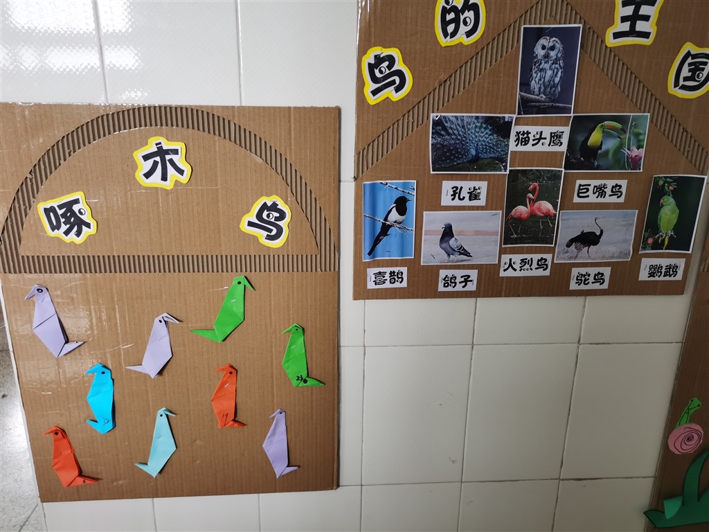 主题四：小鸟，你好.jpg