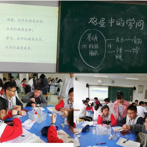 滨江1.jpg