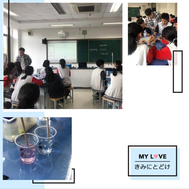滨江2.jpg